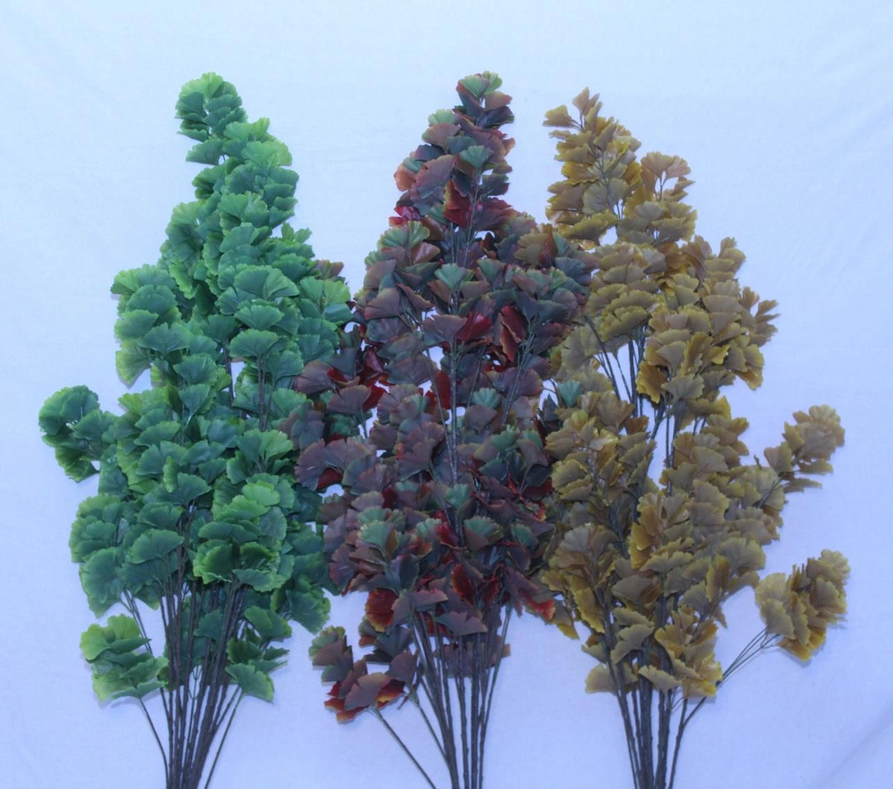 Ginko with 288 lvs